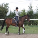 Trening -pięcioletnia klacz xx