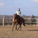 Trening