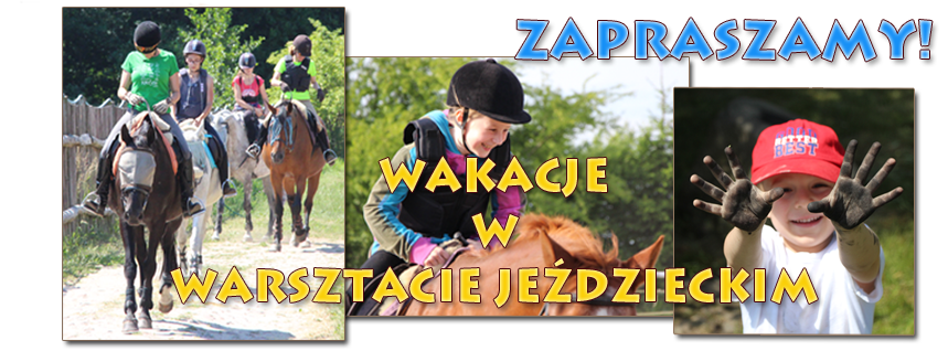 WAKACJE2